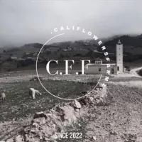 C.F.F