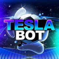 TESLA BOT