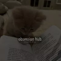 obsession hub.