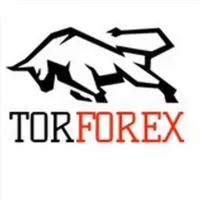 TORFOREX.COM