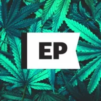 Noticias: cannabis, psicodélicos, música, crypto y más