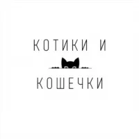 Котики и Кошечки