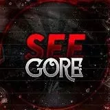 SEEGORE OFFICIAL