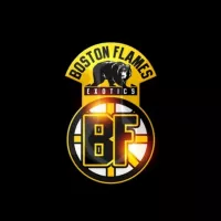 Boston flames Exotics loose / Designer packs