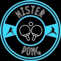 MISTER PONG