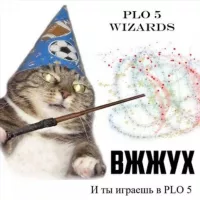 PLO5 Wizards