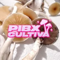 HONGOS PIBXCULTIVA