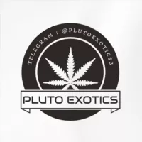 PlutoExotics