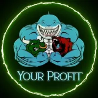 Your Profit 💰