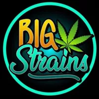 BIG STRAINS SECOURS (Canal secours)