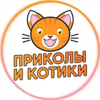 Приколы и Котики