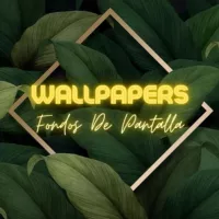 Wallpapers Fondos De Pantalla HD