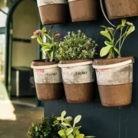 Smart Gardening Ideas