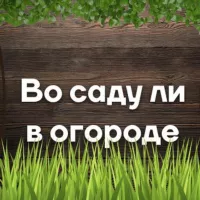 Загородный дом (Дача) или во саду ли, в огороде