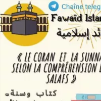 🔘 ۩ Fawaid Islamyia / فوائد إسلامية ۩ 🔘