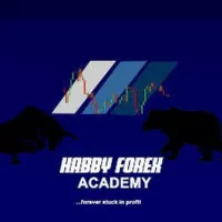 Habbyforex Academy