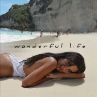 Wonderful Life