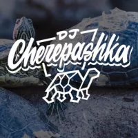 dj cherepashka