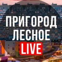 Пригород Лесное LIVE