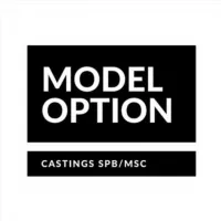 Model Option