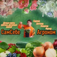 СамСебеАгроном