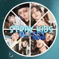 STRAY KIDS • GALLERY