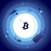 Crypto Aquarium 🐳