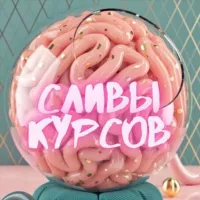 Чек-Листы Складчина Курсы