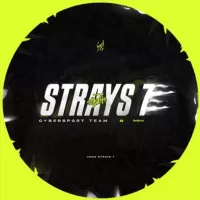 Strays 7