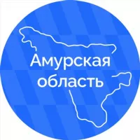 Амурская область | Правительство