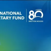 IMF GRANTS IMPACT-INTERNATIONAL MOMENTARY FUND(IMF ORGANIZATION)