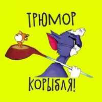 Трюмор корыбля! Юмор и коры