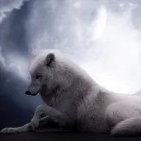 The White Wolf