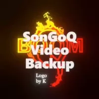 Son Go Q Video Backups