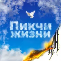 пикчи жизни