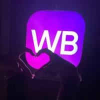 WB СТИЛЯГИ✨