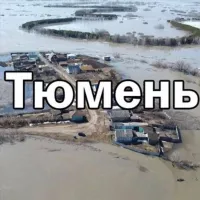 Тюмень ДТП ДПС ЧАТ