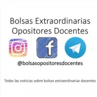 Bolsas Docentes