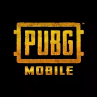 PUBG MOBILE СНГ - Чат