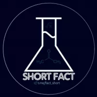 Short Fact | Факты