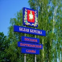 БЕЛАЯ БЕРЕЗКА