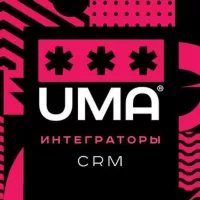 Интеграторы CRM. Чат