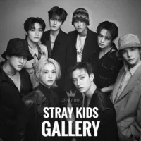 STRAY KIDS || fr. Jempire