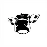 Cow FM • music • electronic • музыка • techno • house