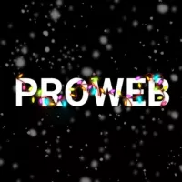 PROWEB. Курсы современных профессий