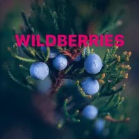 Находки на Wildberries🔥