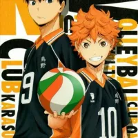 HAIKYUU vf