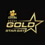 GOLD ️STAR GAY