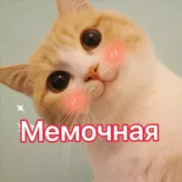 Мемочна