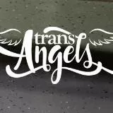 Hard Trans Angels